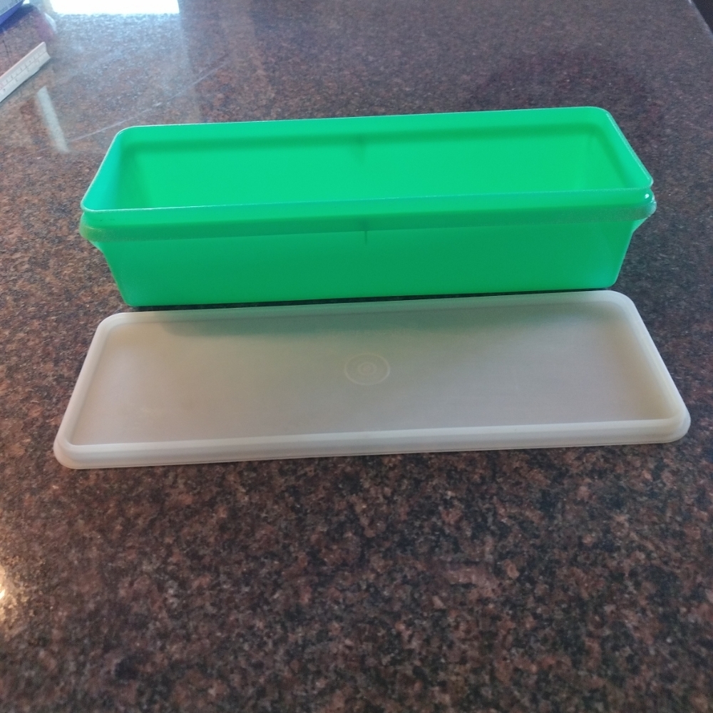 Vintage Tupperware celery fruit container.